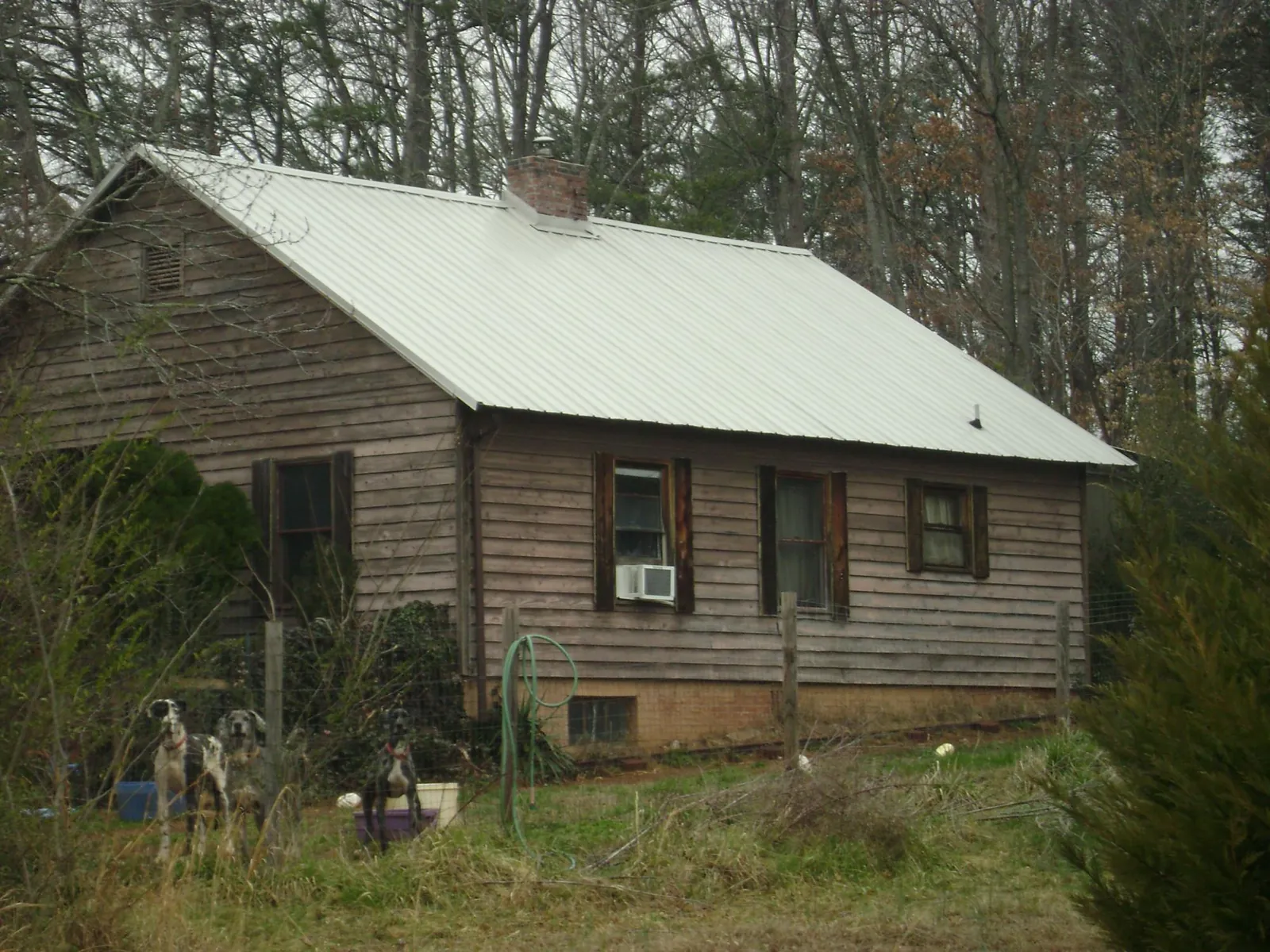 White metal roof on an old wood sided farmhouse, from a Asphalt Shingle Roof Repair job in Rock Creek